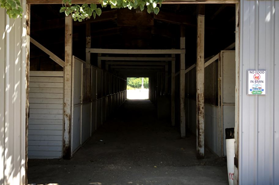Looking through indoor stables